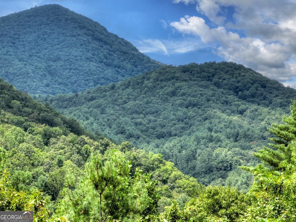 101 Falling Rock Road Blue Ridge - 51