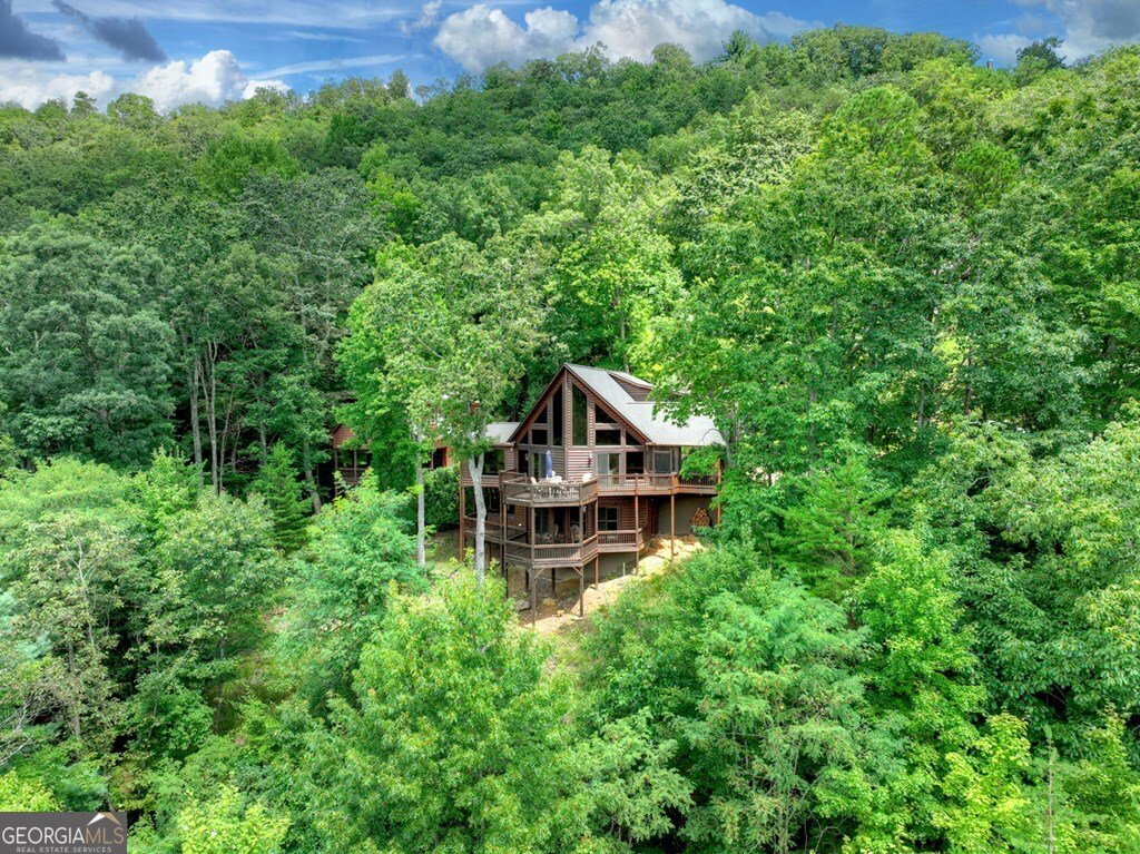 101 Falling Rock Road Blue Ridge - 59