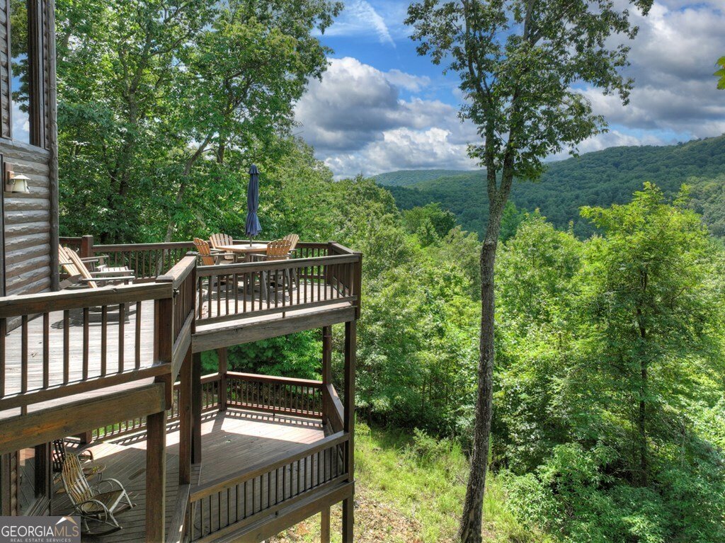 101 Falling Rock Road Blue Ridge - 63