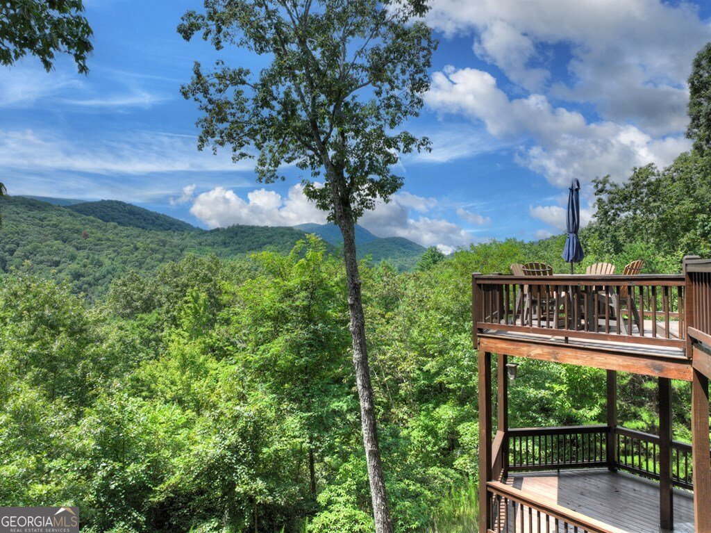101 Falling Rock Road Blue Ridge - 64