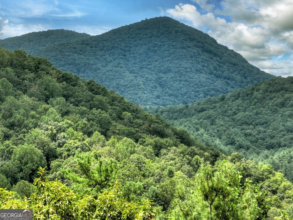 101 Falling Rock Road Blue Ridge - 65