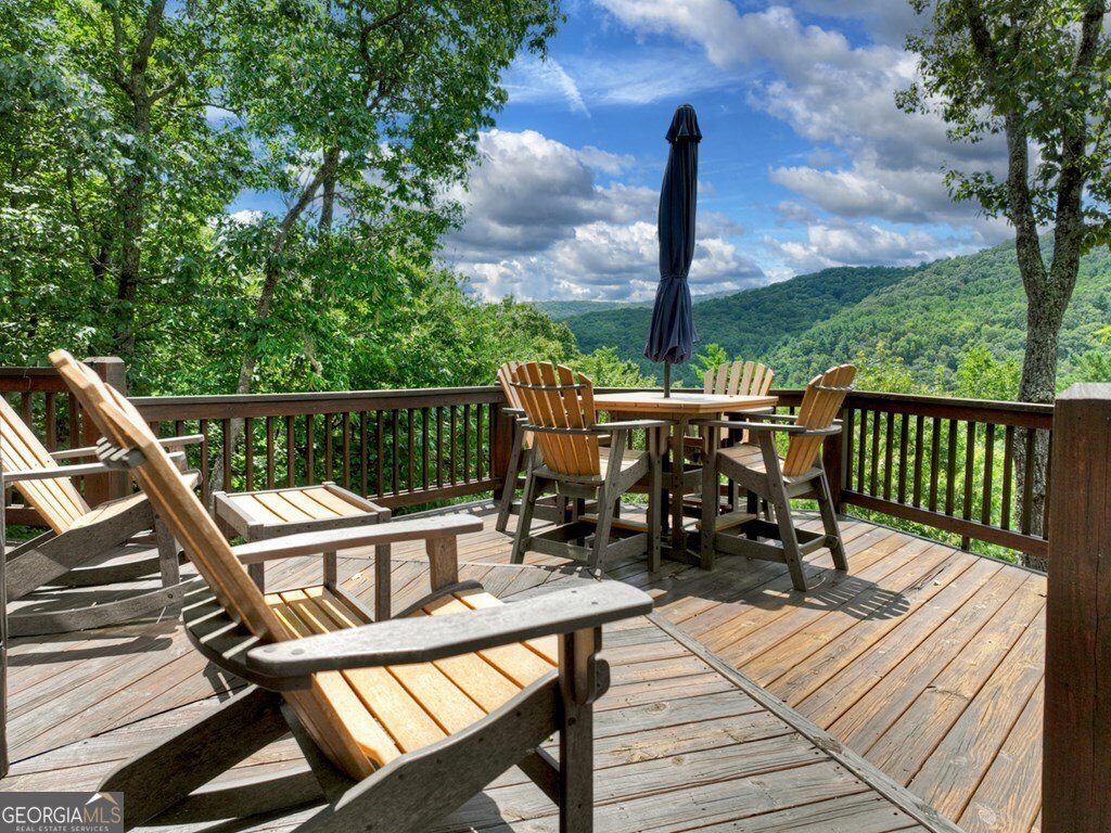 101 Falling Rock Road Blue Ridge - 67