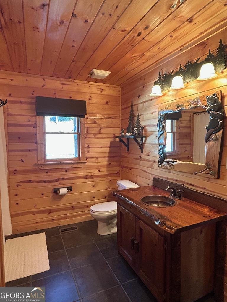 101 Falling Rock Road Blue Ridge - 9
