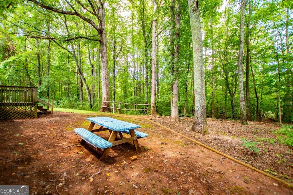 4955 Smithfield Road Bowdon - 28