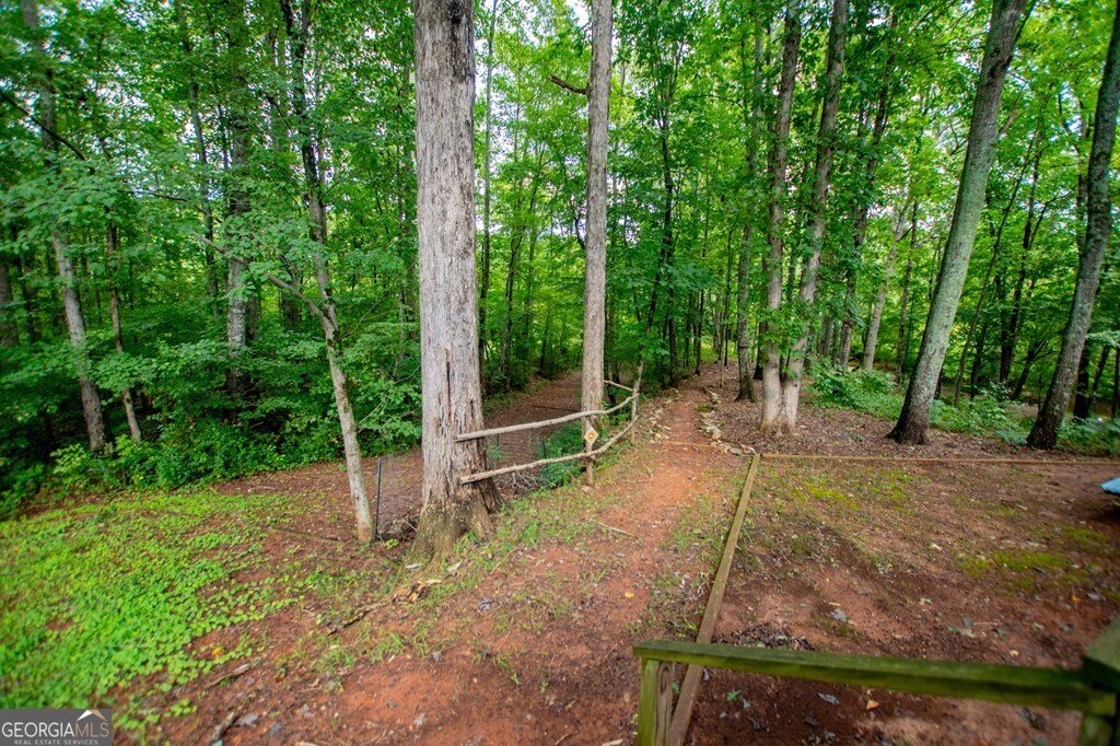 4955 Smithfield Road Bowdon - 32