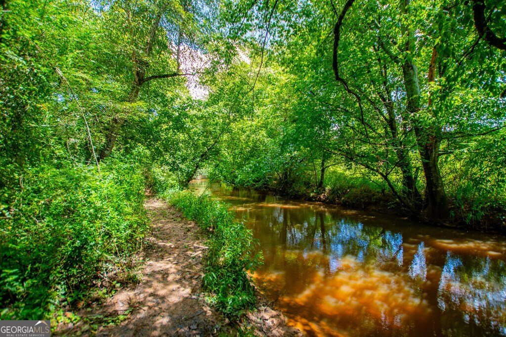 4955 Smithfield Road Bowdon - 35