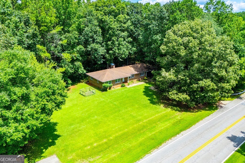 4955 Smithfield Road Bowdon - 40