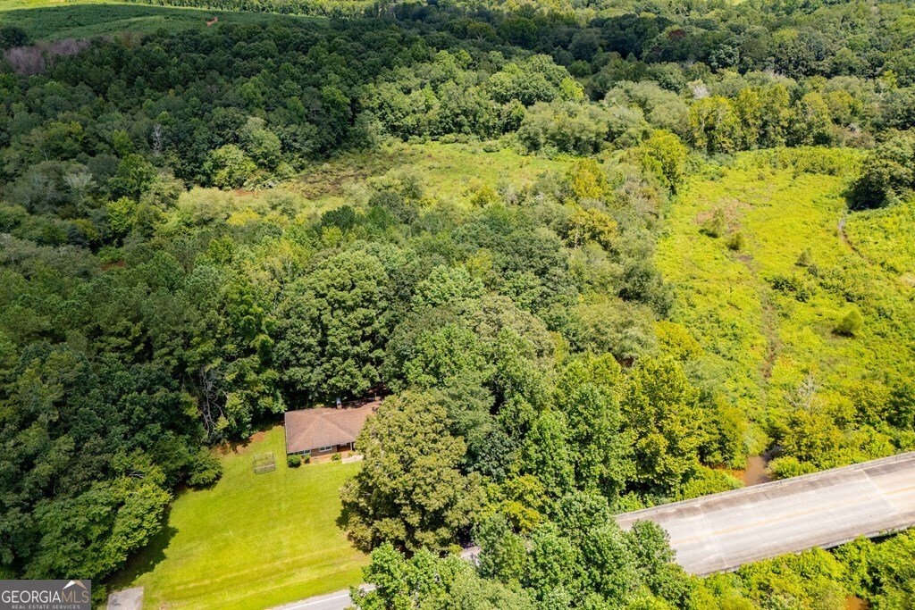 4955 Smithfield Road Bowdon - 41