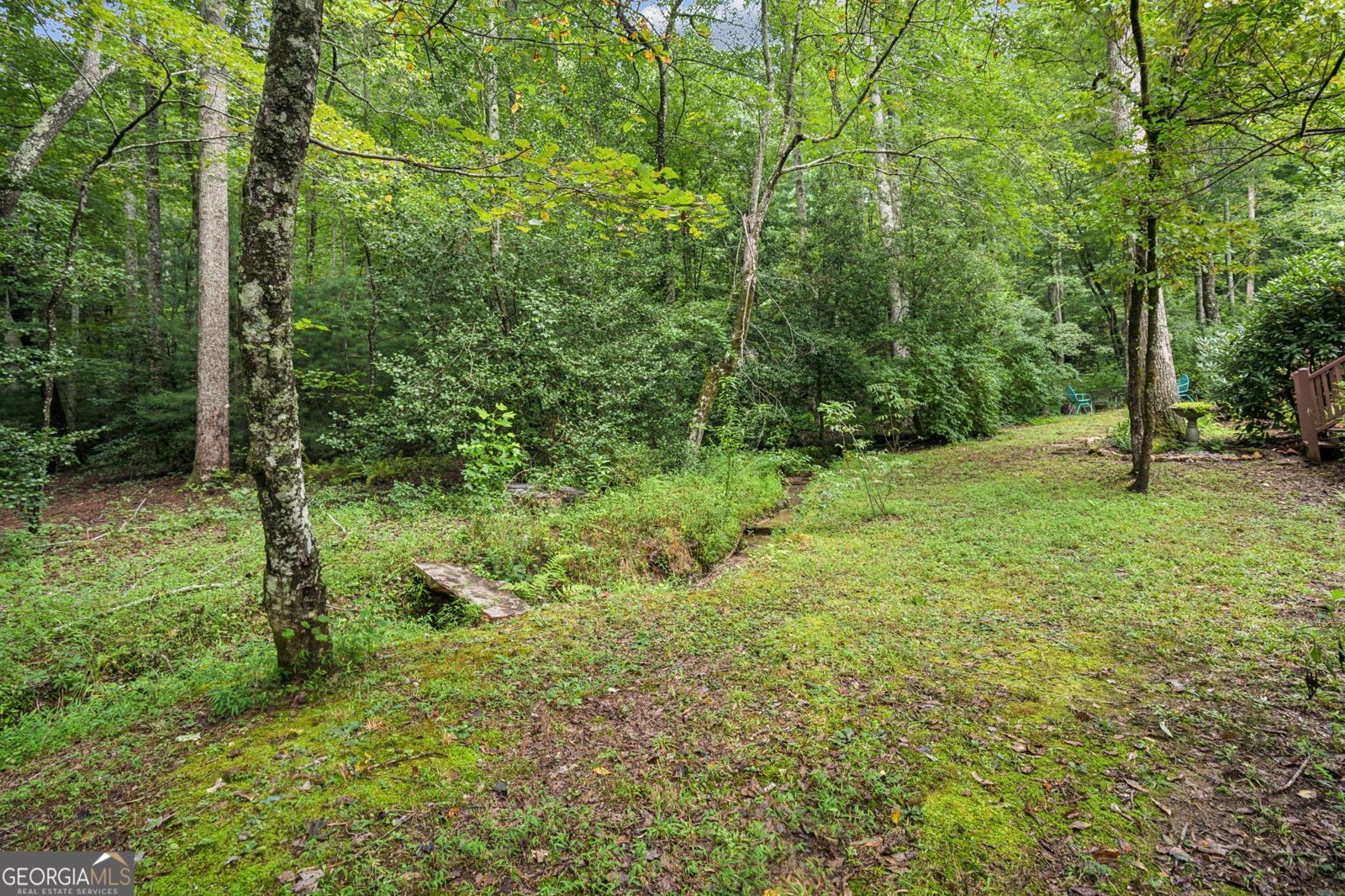 11 Bonanza Lane Tiger - 10