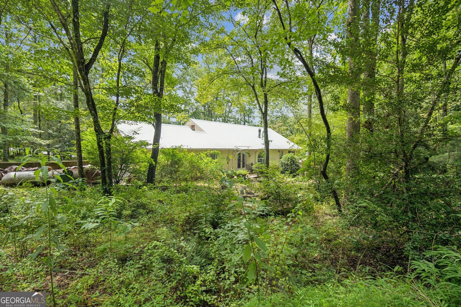 11 Bonanza Lane Tiger - 37
