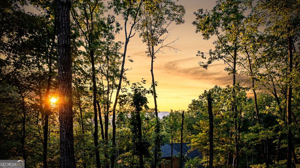 741 Price Road Blue Ridge - 17