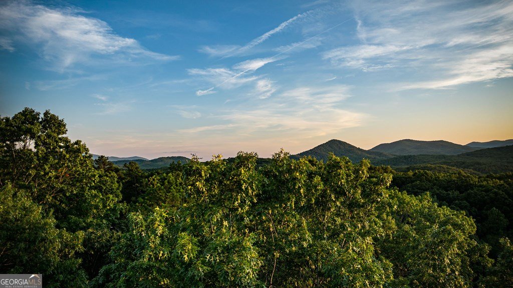 741 Price Road Blue Ridge - 24
