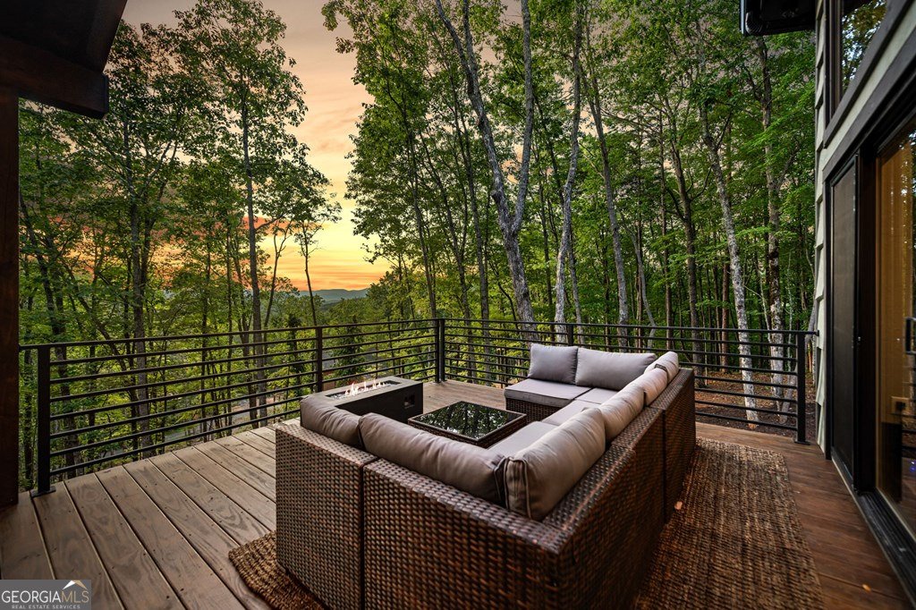 741 Price Road Blue Ridge - 30