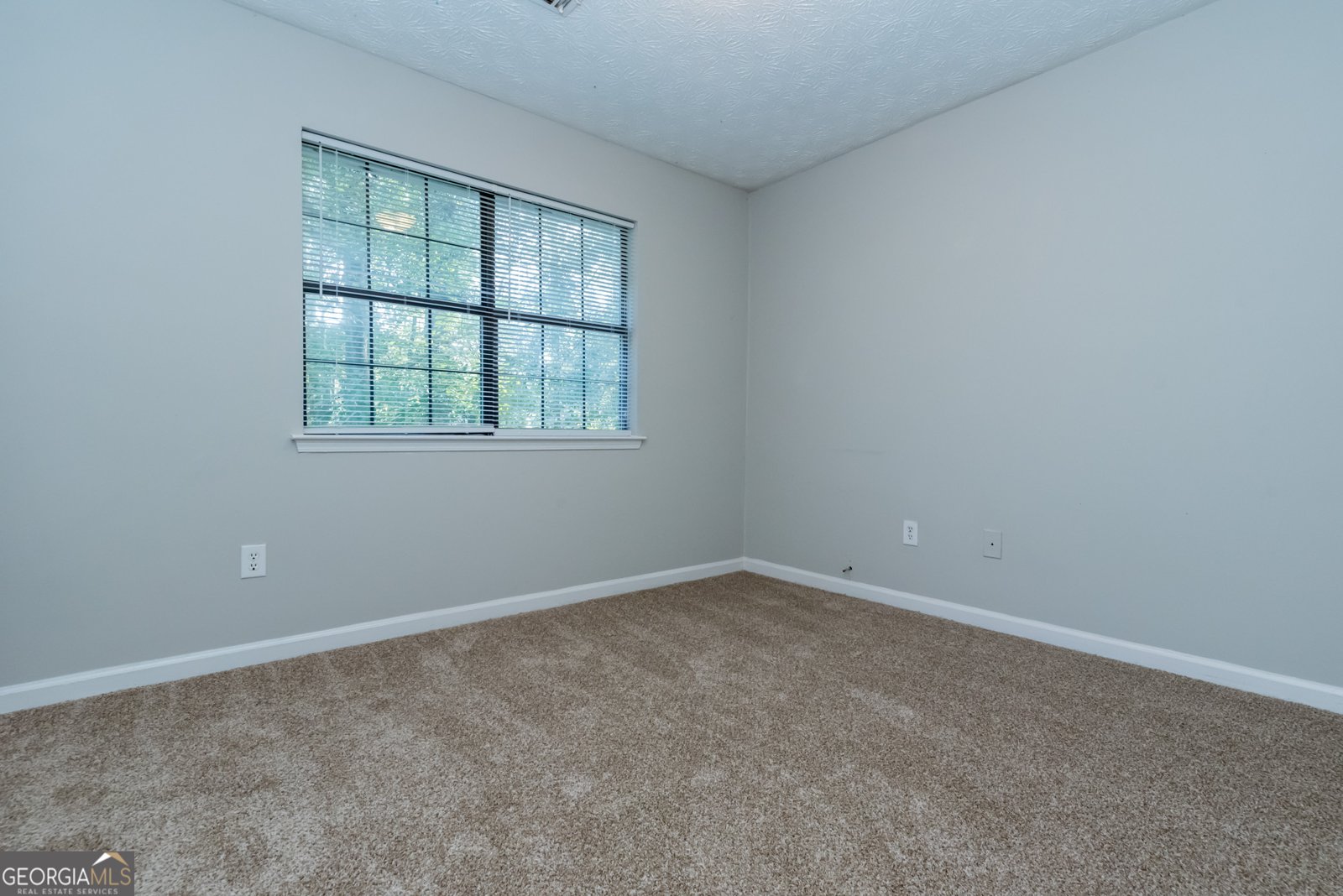164 Adrian Drive Stockbridge - 12