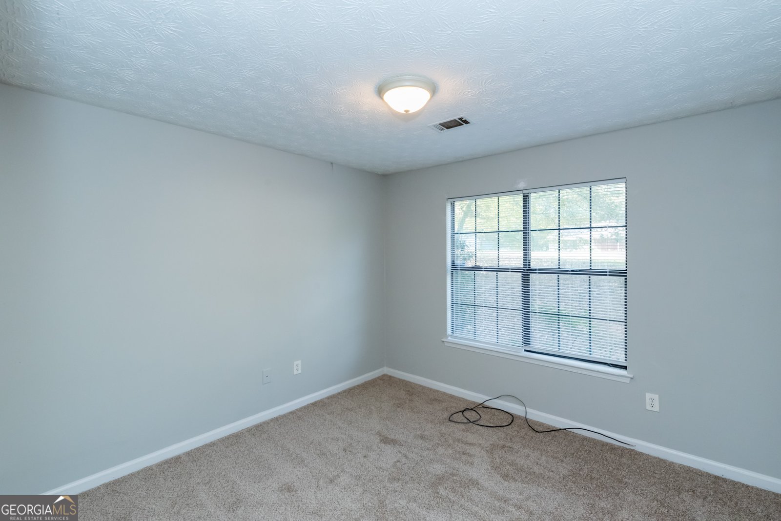 164 Adrian Drive Stockbridge - 14