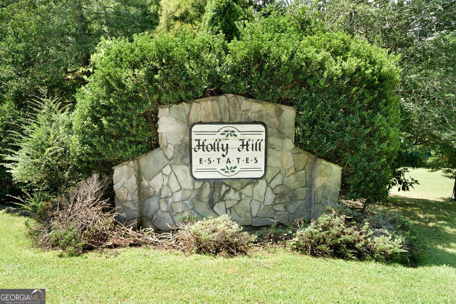 211 Oakcrest Drive Epworth - 9