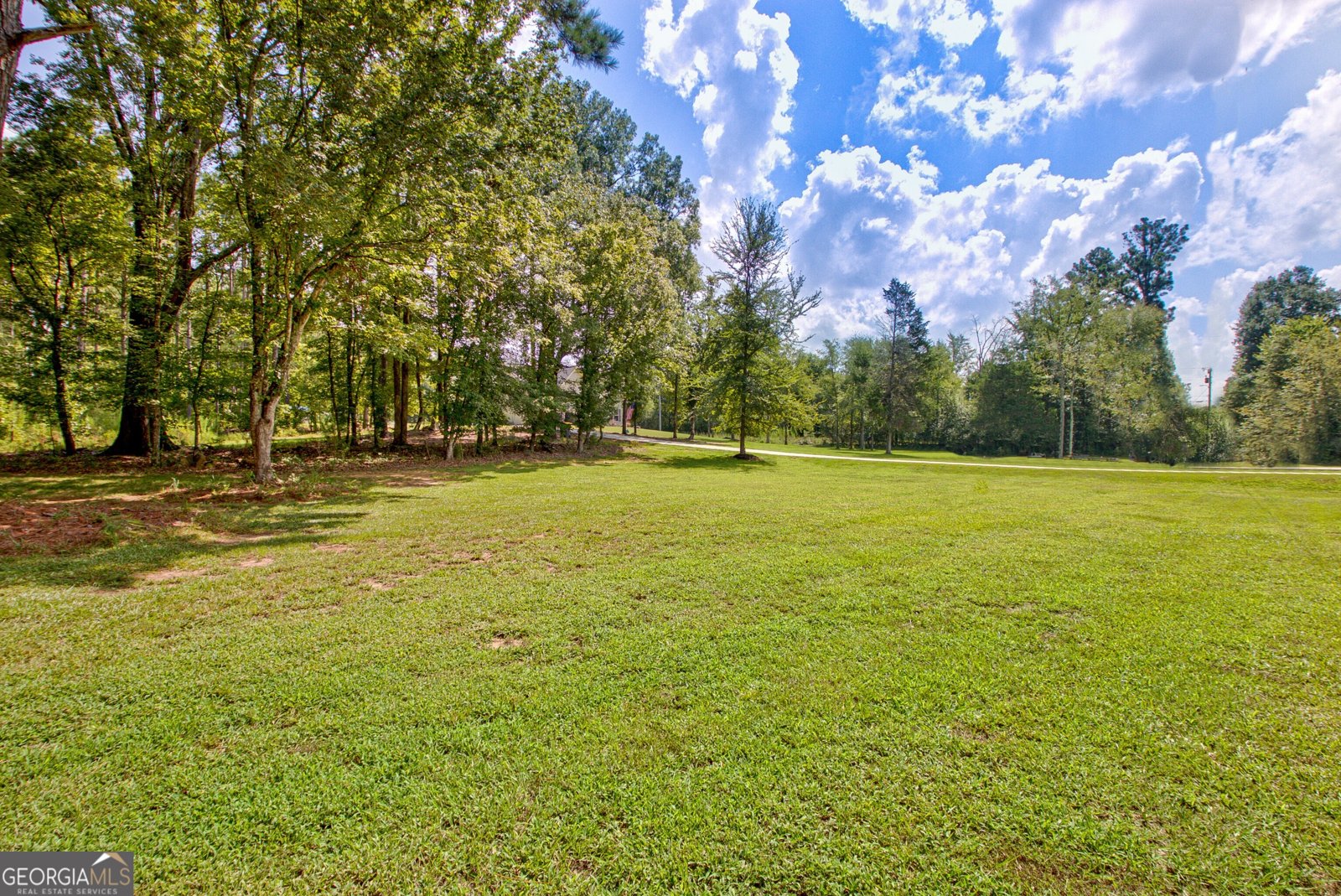 2978 Sullivan Mill Road Senoia - 8