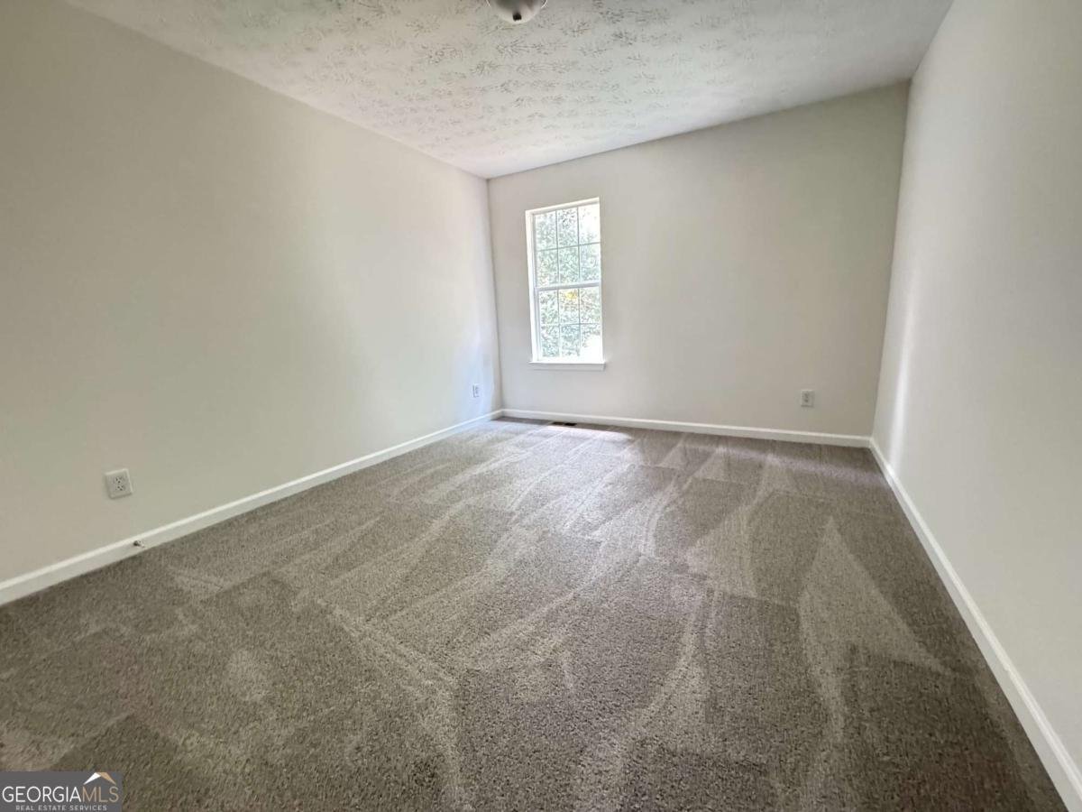4556 Duane Drive Buford - 19