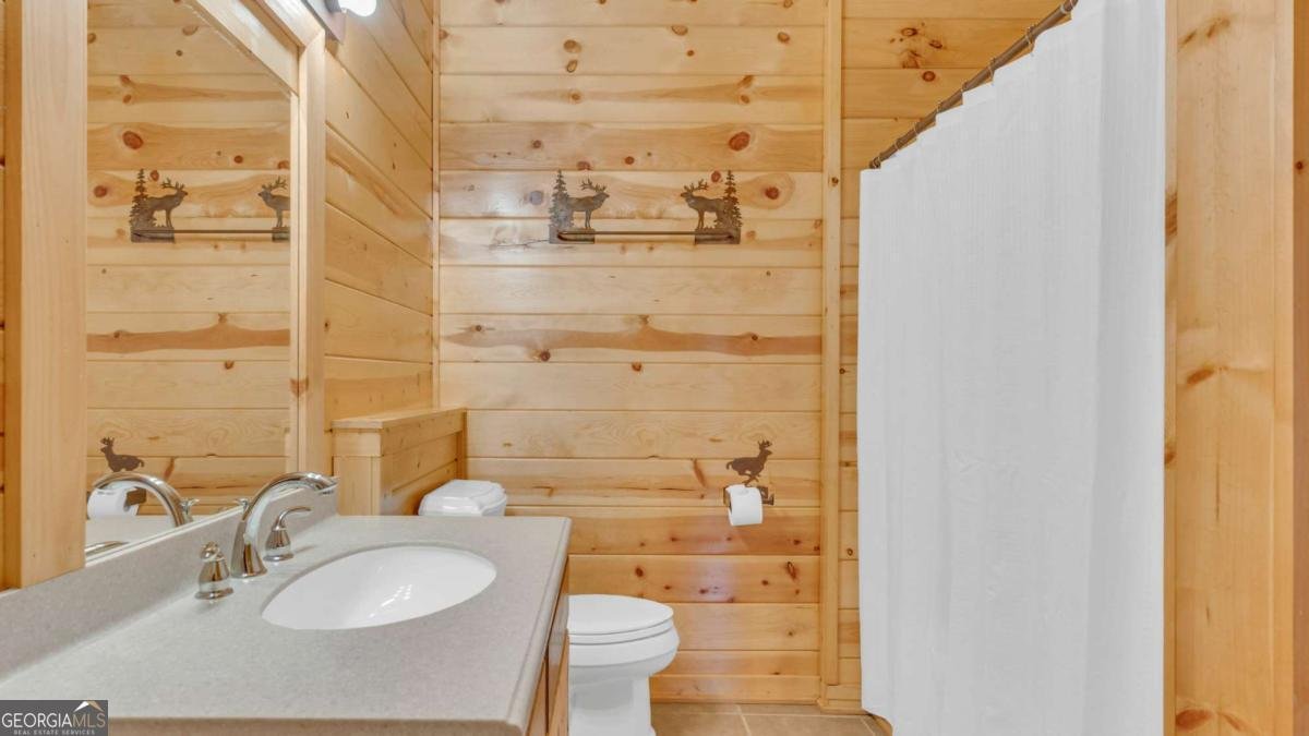 661 Toccoa River Forest Lane Mineral Bluff - 28
