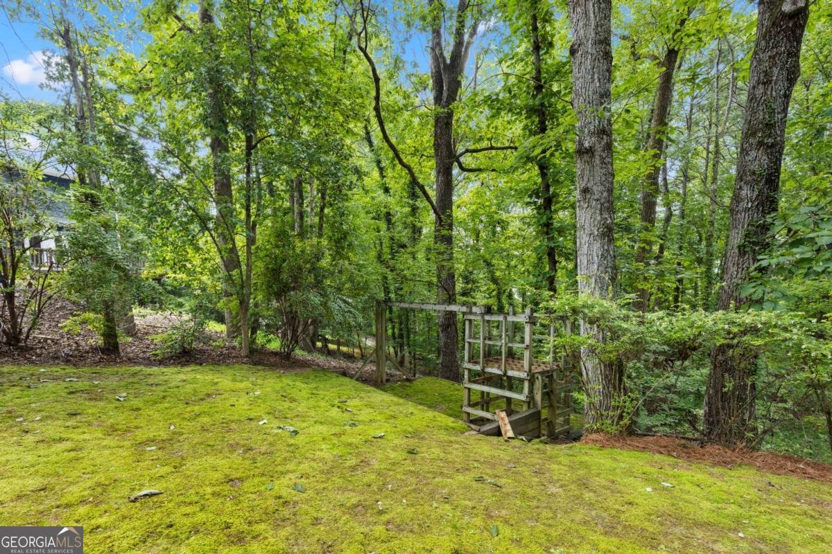 245 Spring Ridge Trace Roswell - 9