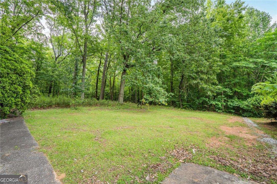 4025 Cheoah Drive Douglasville - 25