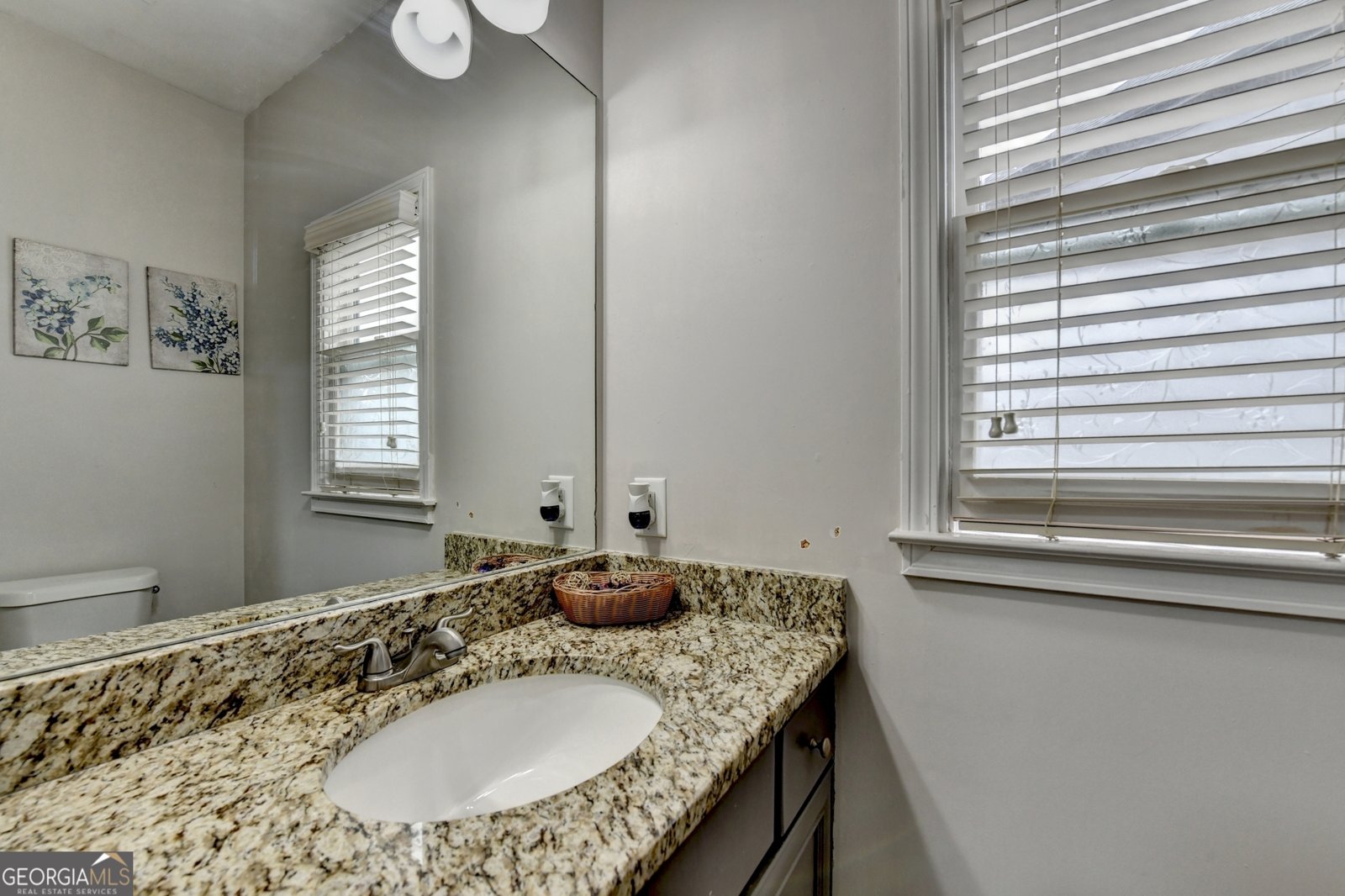 455 PARK PLACE Court Suwanee - 9