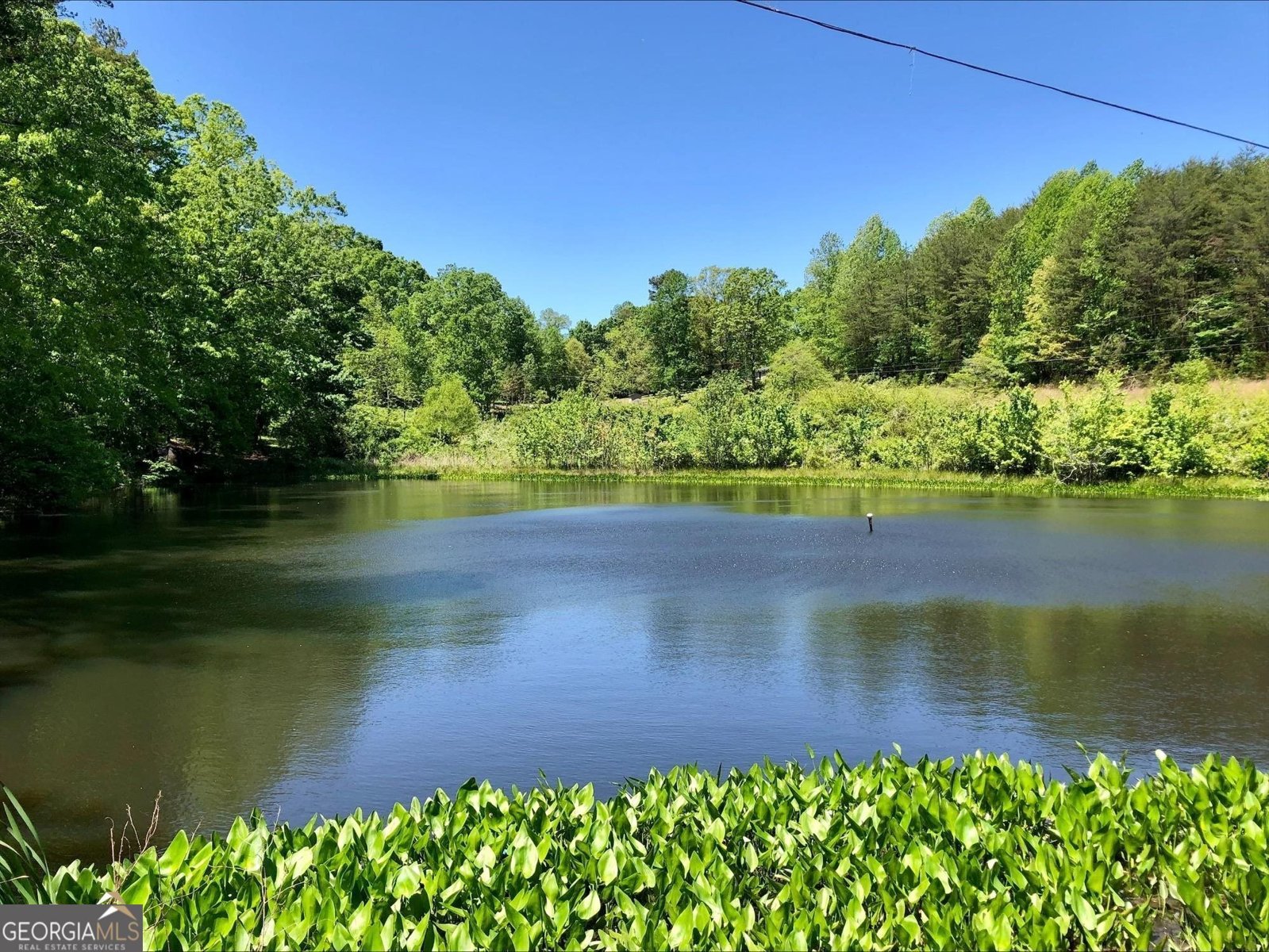111 On Golden Pond Lane Clarkesville - 19