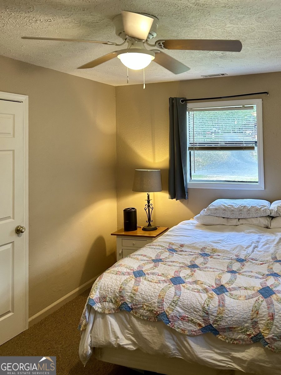 111 On Golden Pond Lane Clarkesville - 24