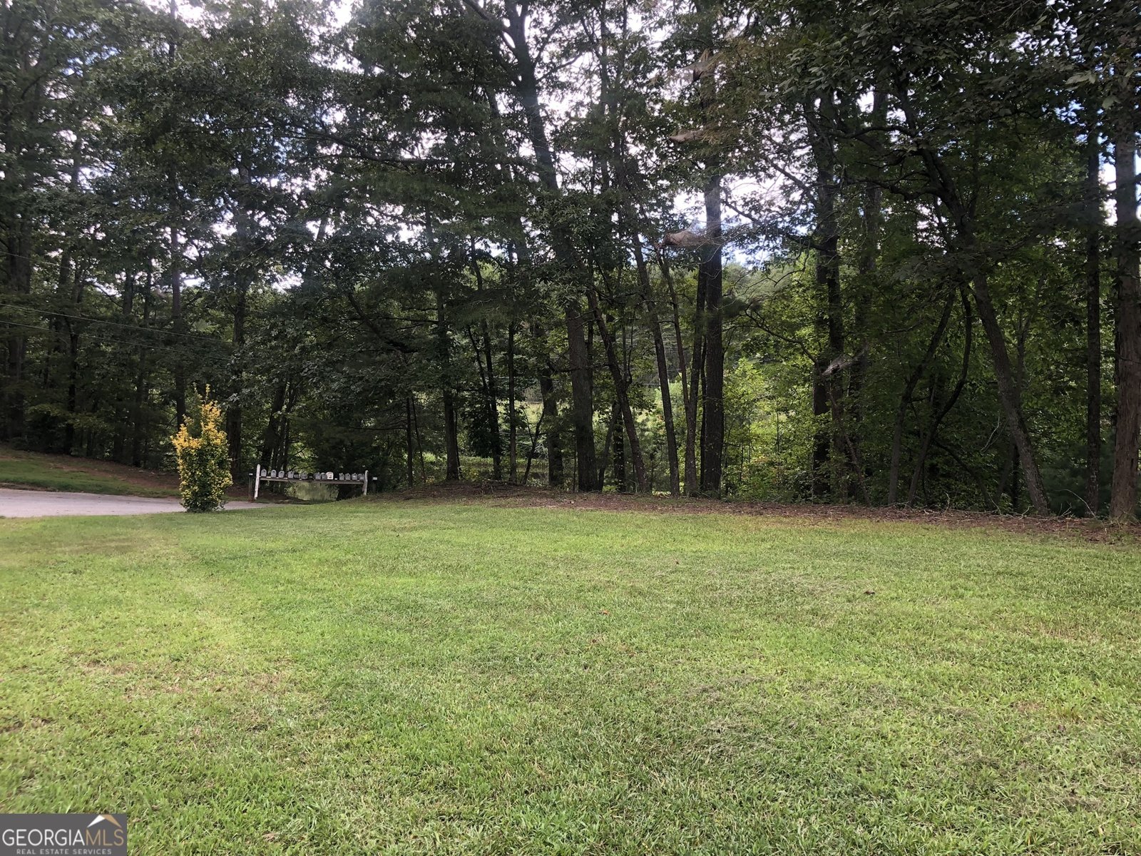111 On Golden Pond Lane Clarkesville - 3