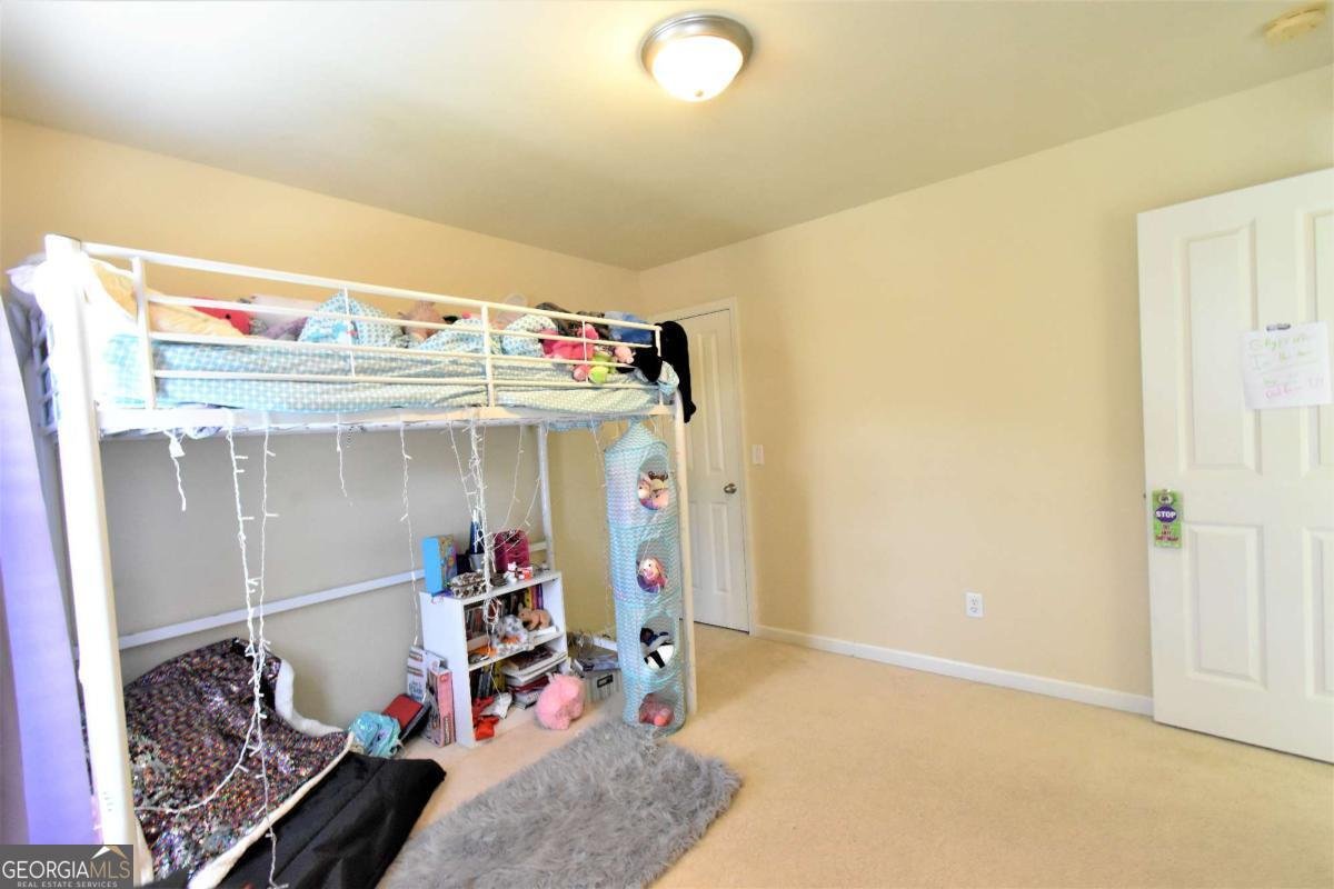 115 Ashley Pointe Drive Hiram - 19