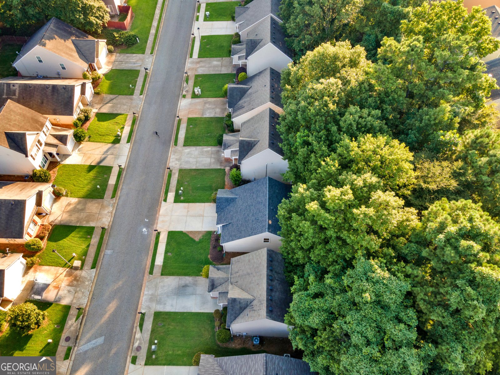 1522 Alcovy Falls Drive Lawrenceville - 34