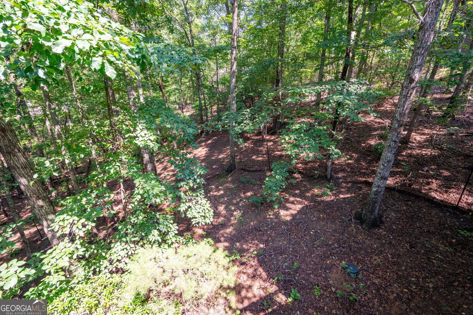 941 Quail Cove Drive Jasper - 46