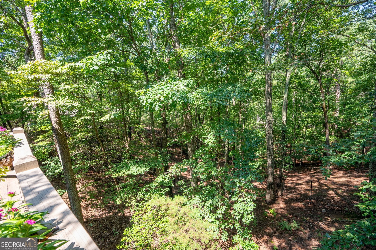 941 Quail Cove Drive Jasper - 47