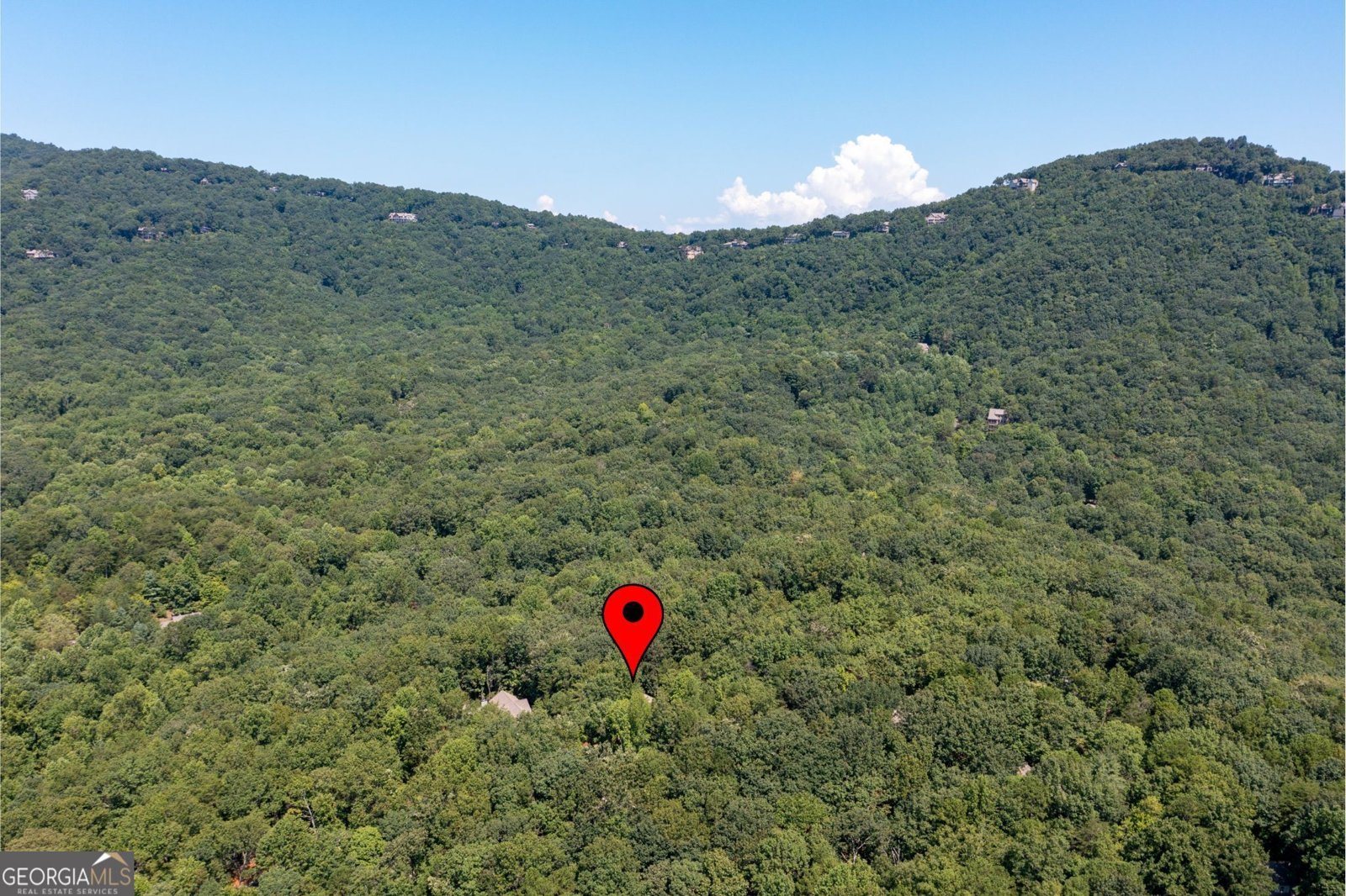 941 Quail Cove Drive Jasper - 53