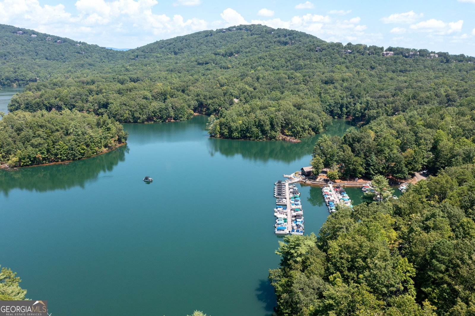 941 Quail Cove Drive Jasper - 65