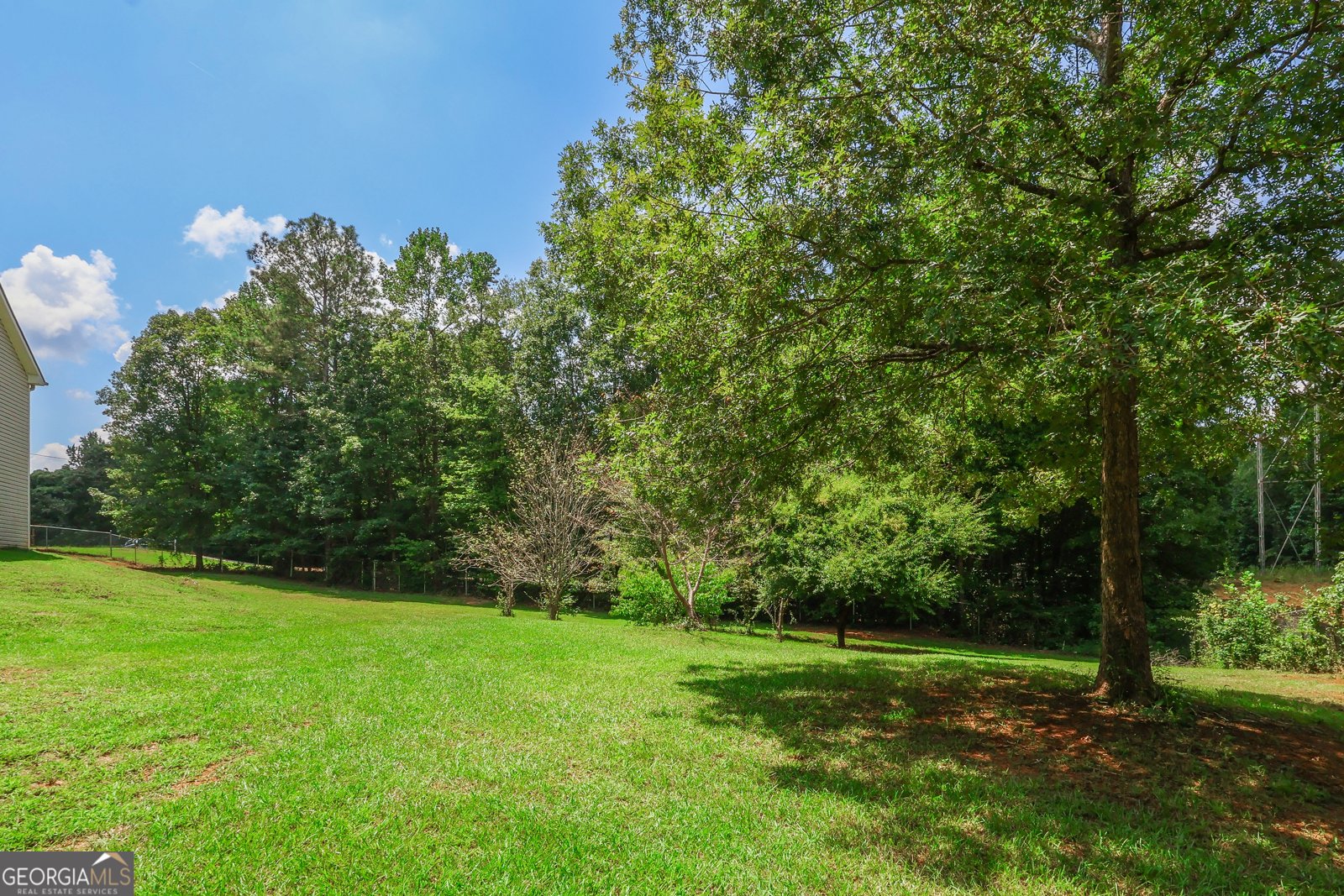 110 Corn Row Court Newnan - 38