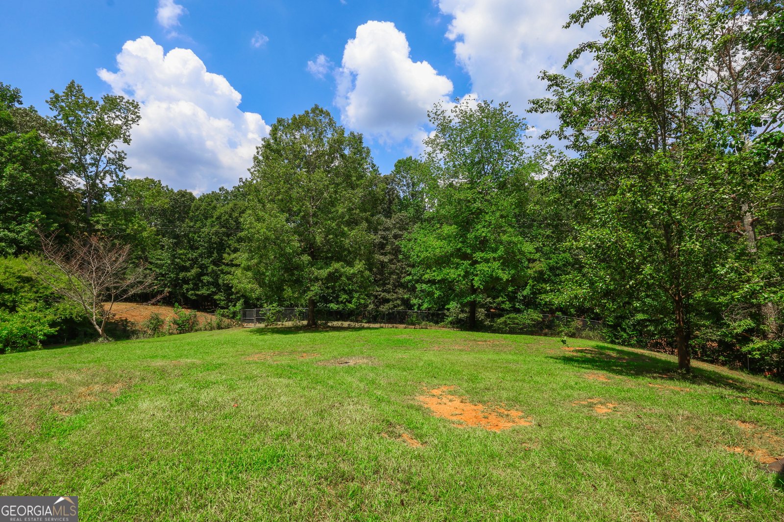110 Corn Row Court Newnan - 39