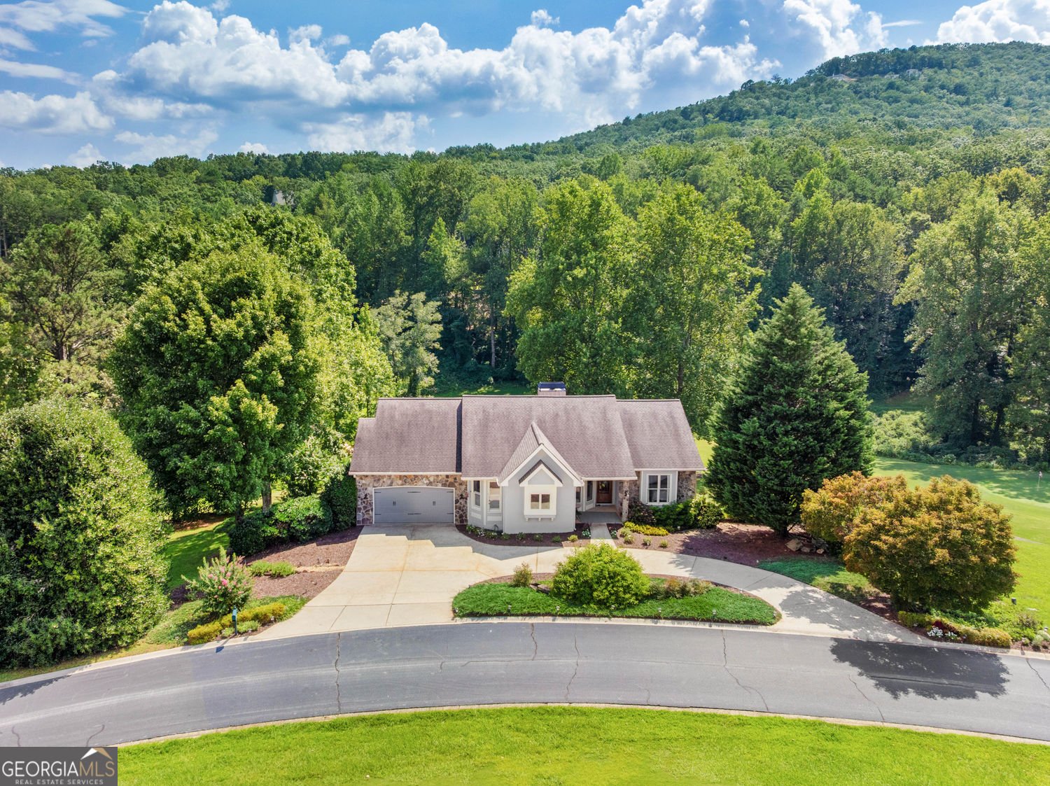 501 Granny Smith Circle Clarkesville - 1