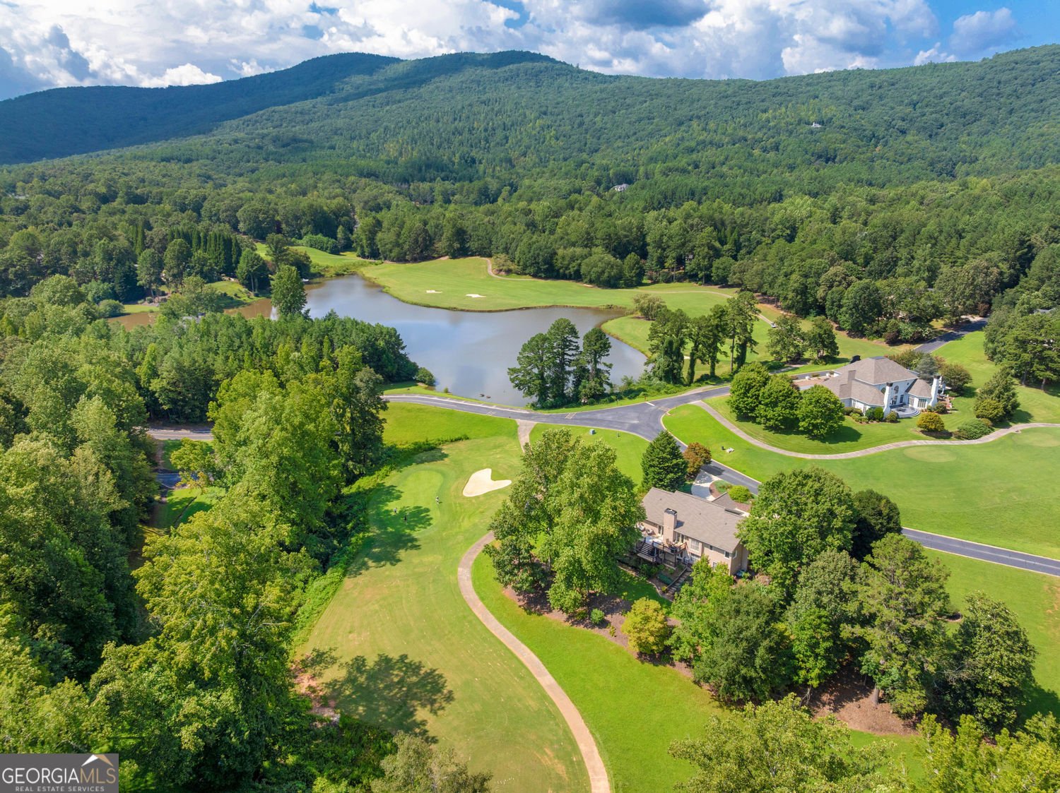 501 Granny Smith Circle Clarkesville - 46