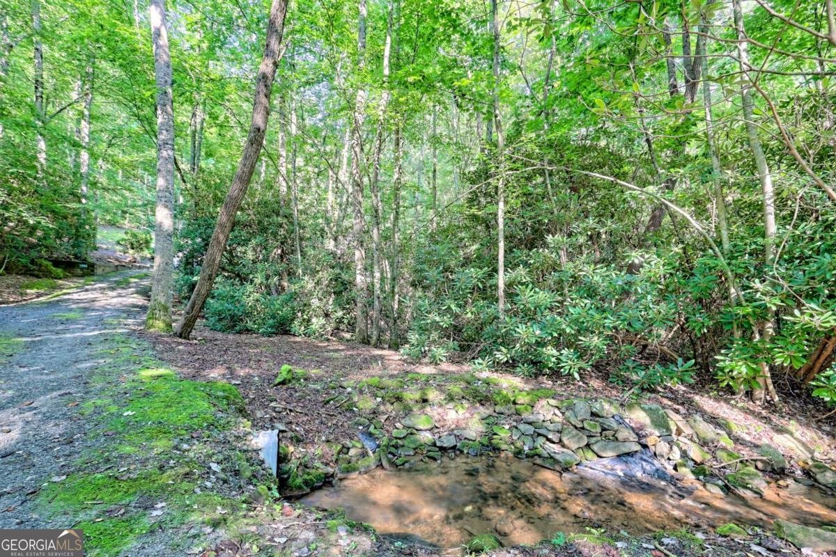 2486 Bill Brown Cove Road Hiawassee - 29