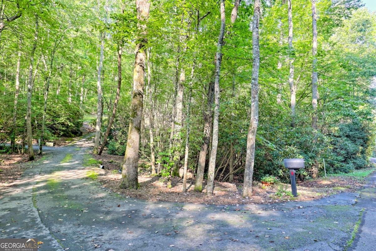 2486 Bill Brown Cove Road Hiawassee - 30