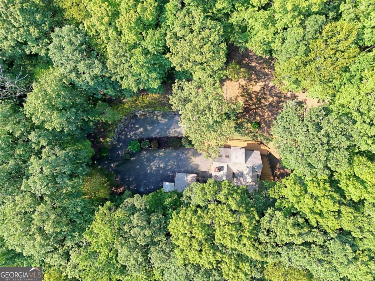 2486 Bill Brown Cove Road Hiawassee - 31