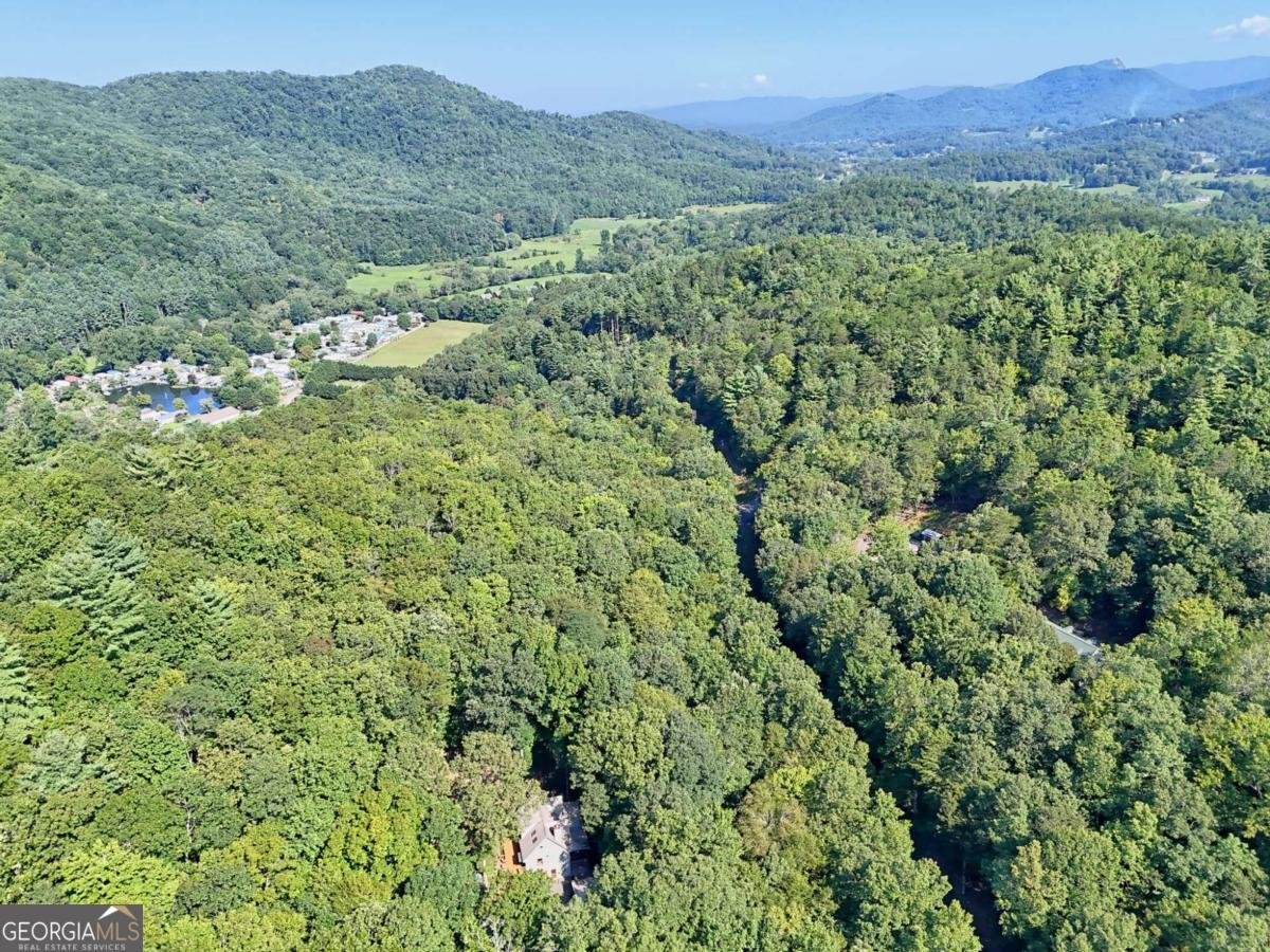 2486 Bill Brown Cove Road Hiawassee - 32