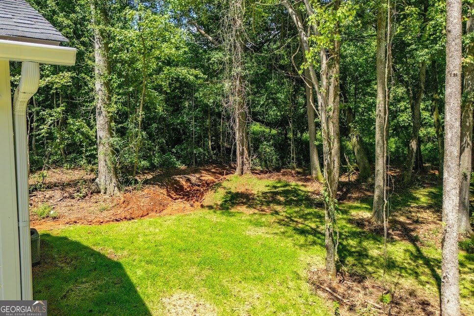 473 West Avenue Bowdon - 5