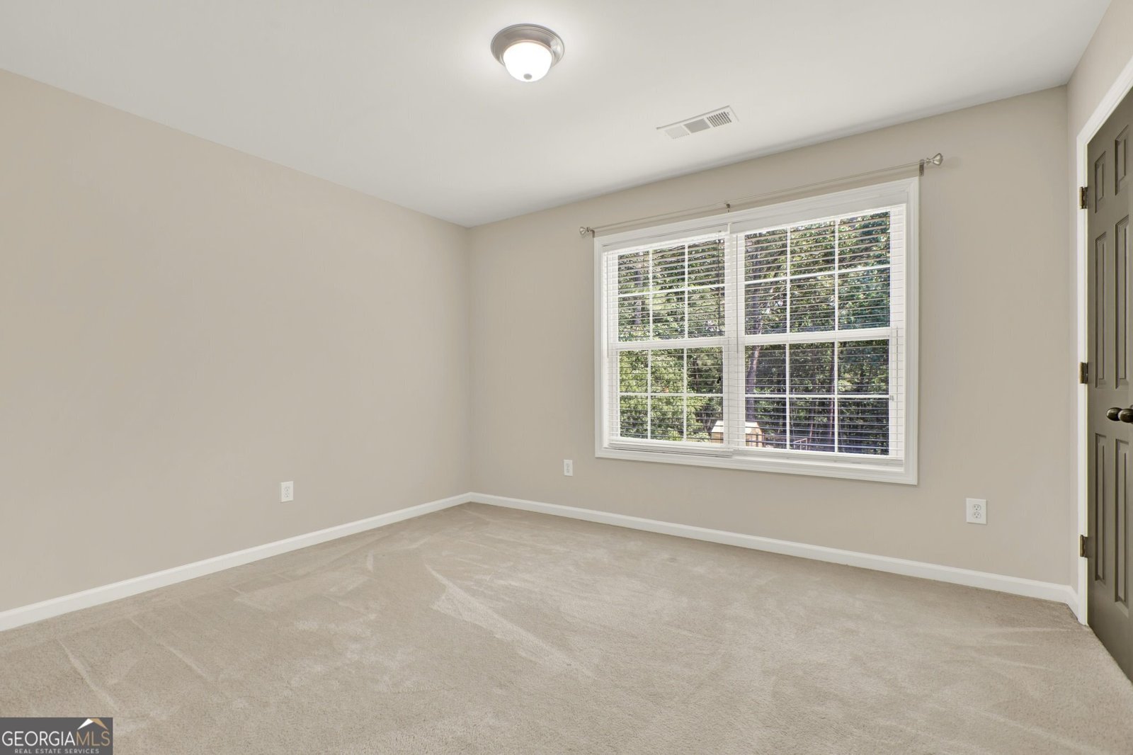 157 Preserve Parkway Ball Ground - 52