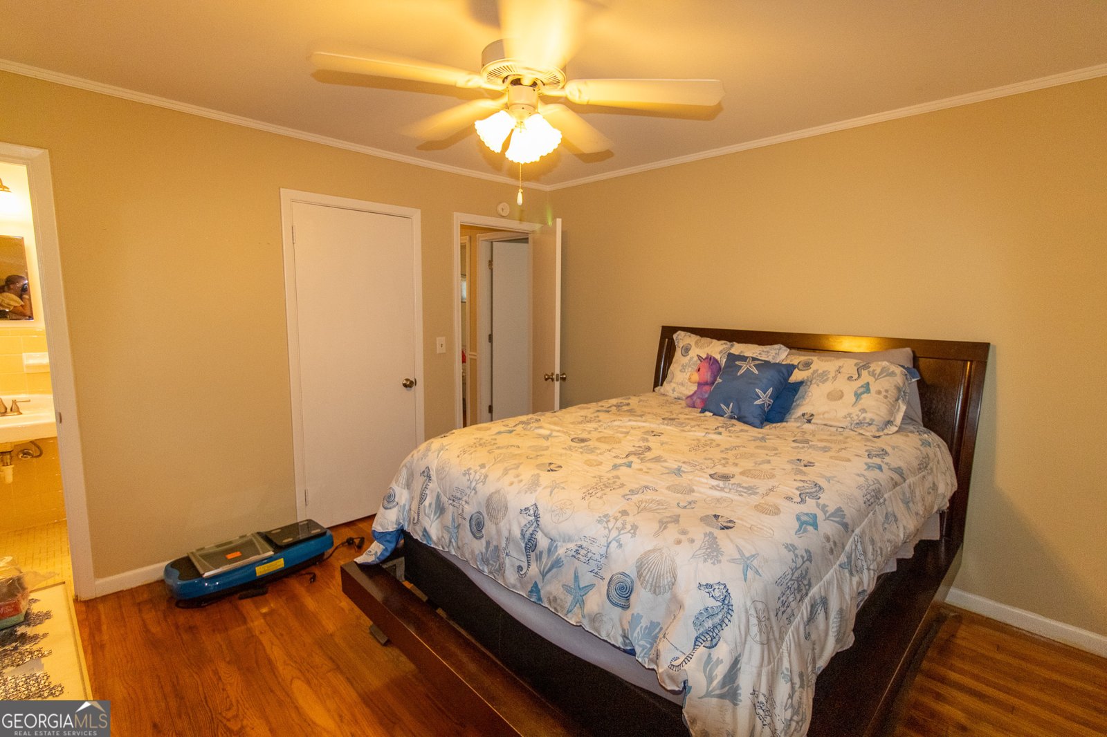 209 Elm Street Brooklet - 12