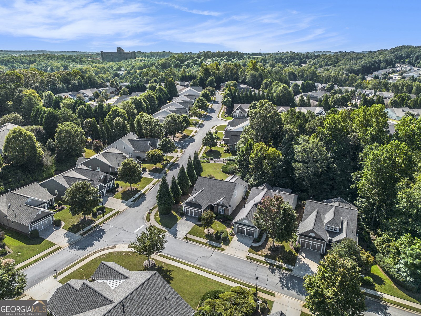 6503 Grove Park Drive Hoschton - 40