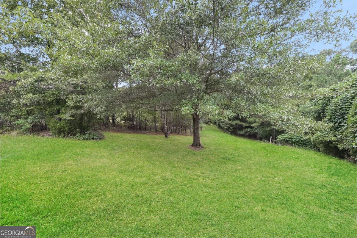 3571 Coveside Court Loganville - 20