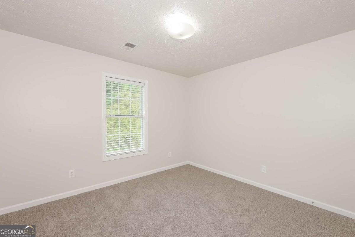 640 Magnolia Drive Loganville - 12
