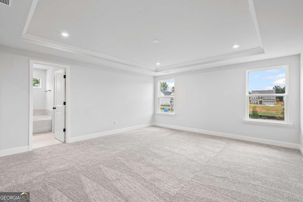 701 Calendula Court Mcdonough - 12
